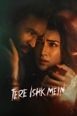 Tere Ishk Mein (2025) ไถ่บาปด้วยหัวใจ